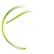 Paardenveilingonline