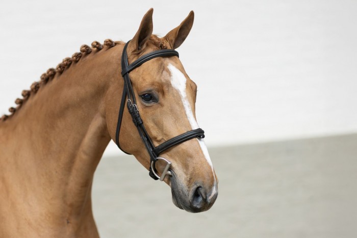 Top price of €36,000 and global interest