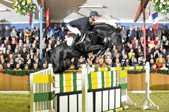 Stallion of the month May: Diarado (Diamant de Semilly x Corrado I)