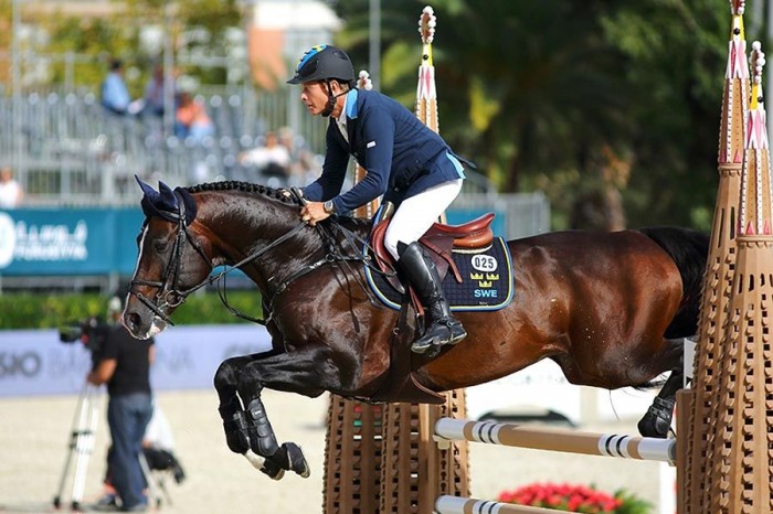 Hengst van de maand Augustus: Casall Ask (Caretino x Lavall I)