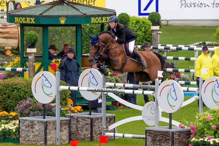 Hengst van de maand juni: Chacco Blue (Chambertin X Contender)