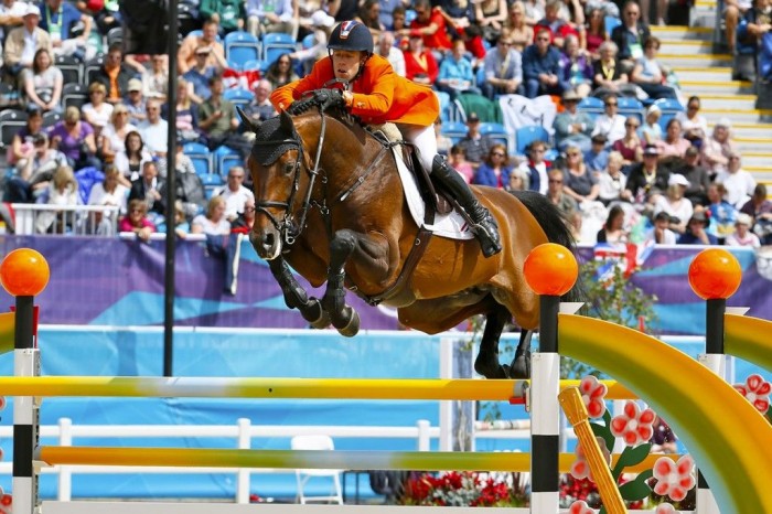 Hengst van de maand Juni: Verdi TN (Quidam de Revel x Landgraf I)